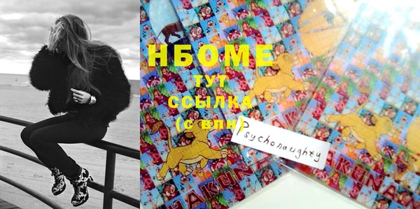шишки Новокубанск