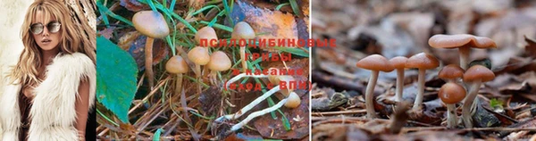 кокаин колумбия Кинешма
